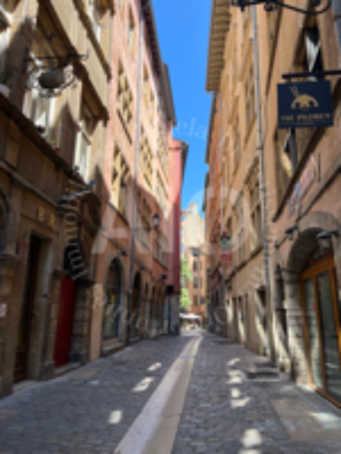   Ensemble immobilier à Lyon 5 : Murs commerciaux + Trois studios  