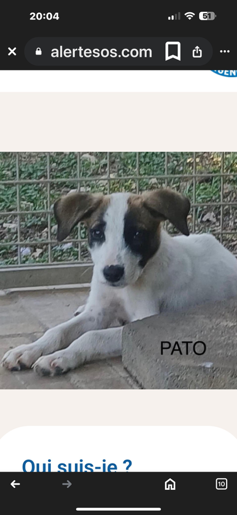 PETIT PATO 0 75018 Paris