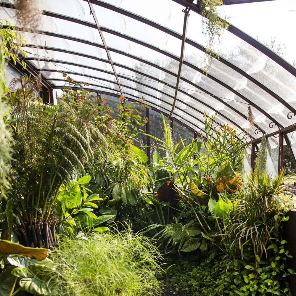 Serre Chambord visible sur notre show-room, sur base de 87cms laqu&eacute;e de 2m80x3m80 Jardin