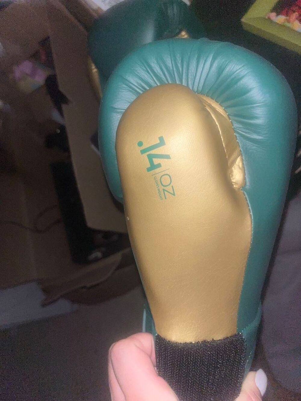 gant de boxe Sports