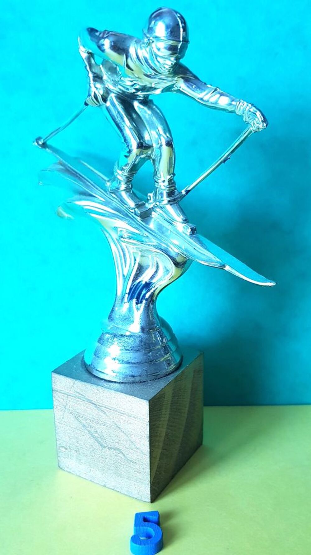 TROPHEE SKI de piste ou descente
Sports