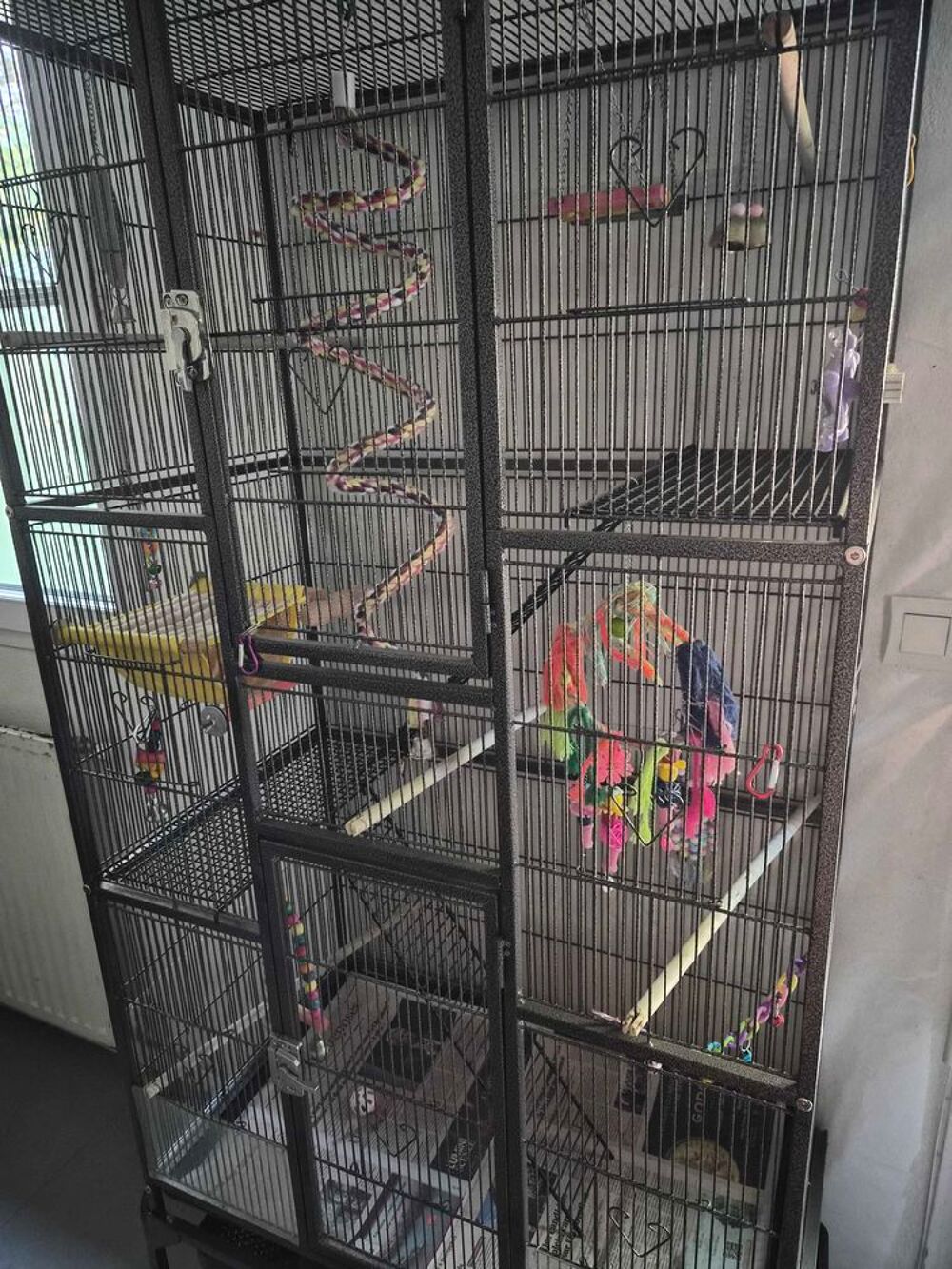 cage pour grande perruche/perroquet Décoration