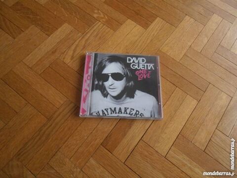 David Guetta - One Love (26) 8 Tours (37)