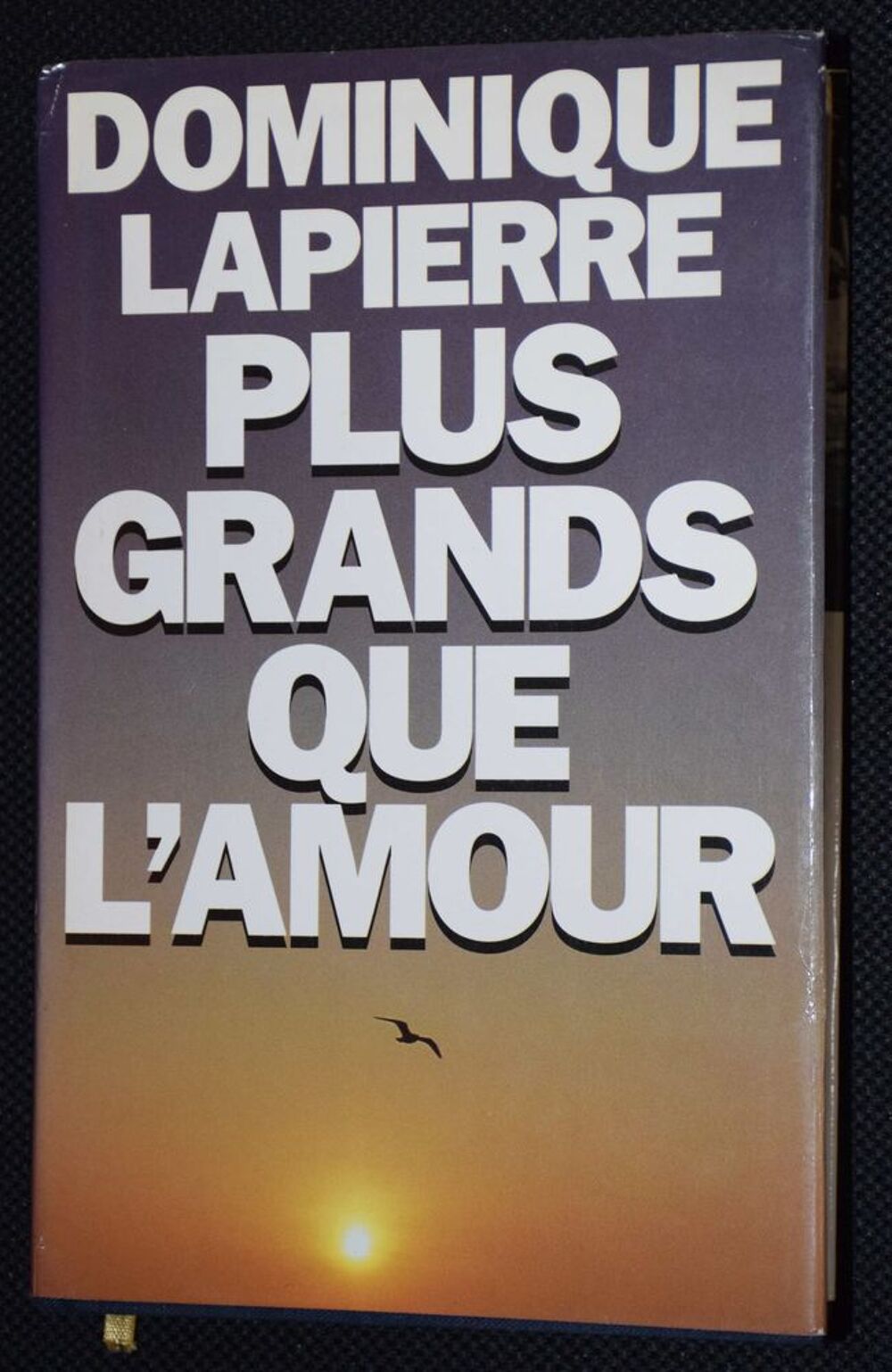 PLUS GRANDS QUE L AMOUR - Dominique LAPIERRE - 1990 Livres et BD