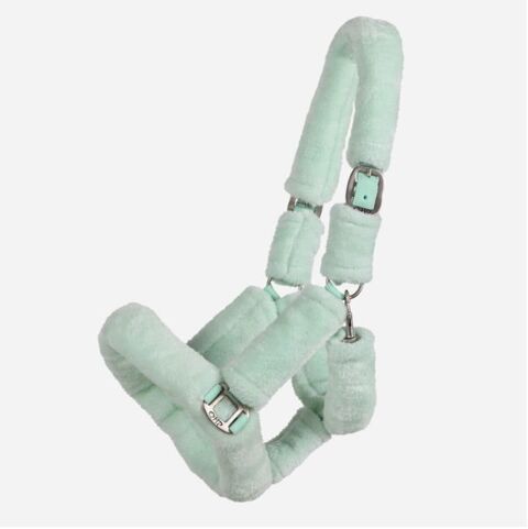 licol shetland 18 Tessy-sur-Vire (50)