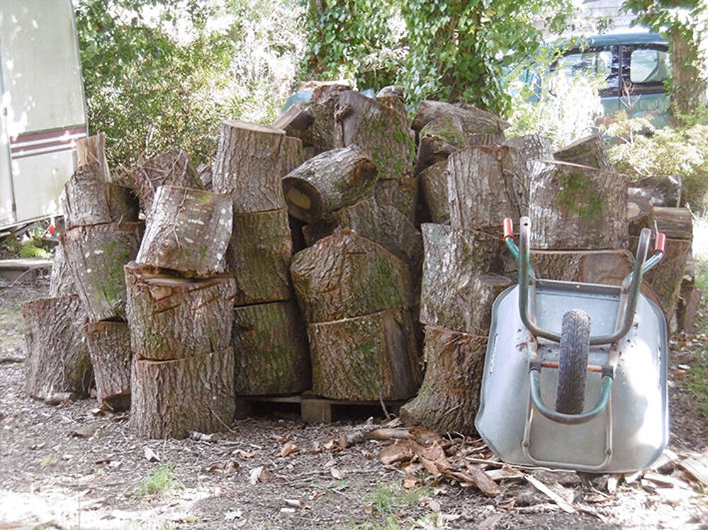 bois &agrave; fendre Jardin