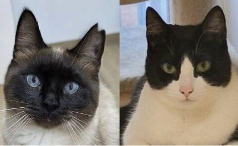 OSCAR et BETTY 27620 Gasny