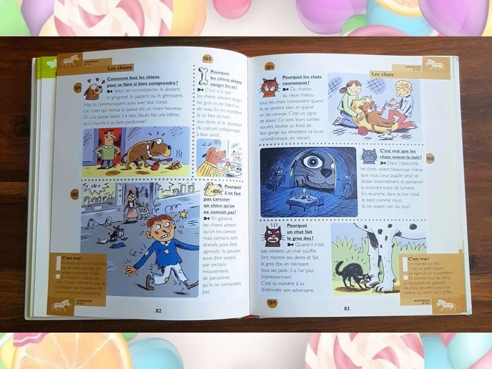 Lot 2 livres Larousse Apprentissage Enfant &agrave; partir de 6 ans Livres et BD