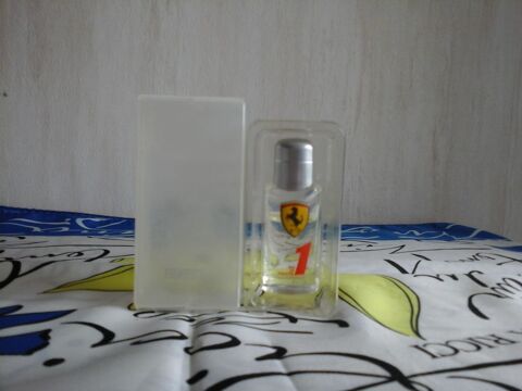 MINIATURE DE PARFUM 6 Trouy (18)