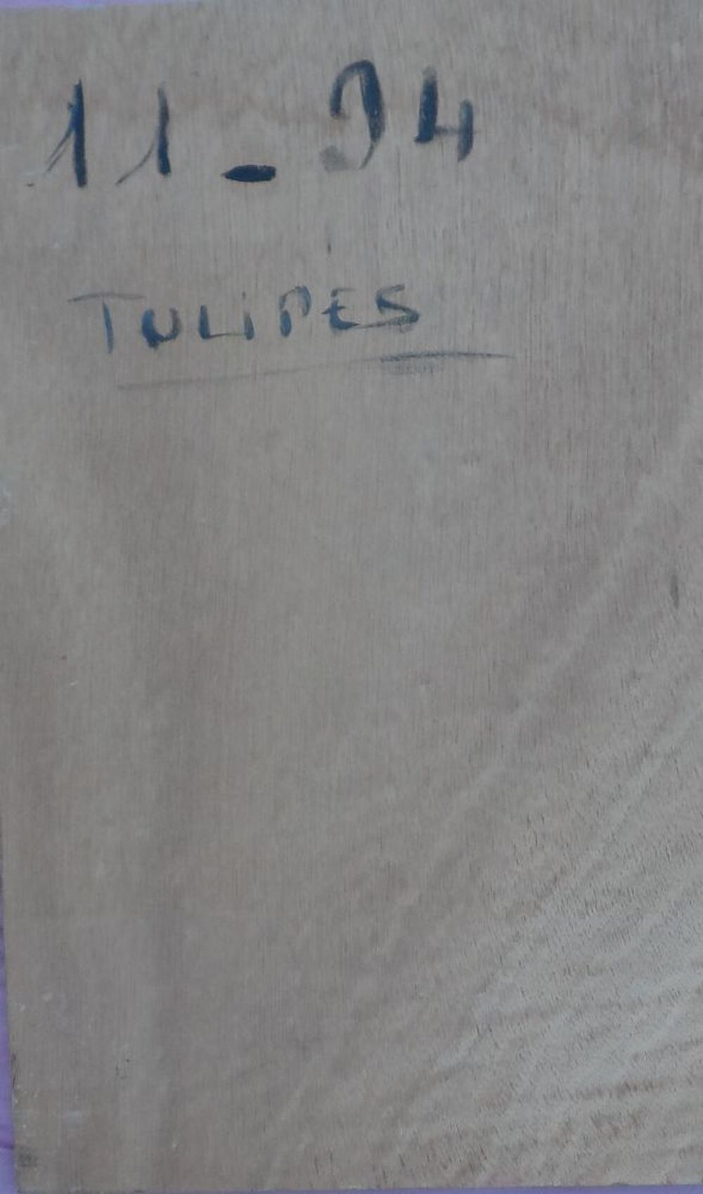 Peinture sur bois tulipes 33,5 cm x 21 cm Décoration
