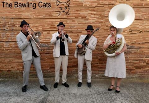 Animation mariage 0 81000 Albi