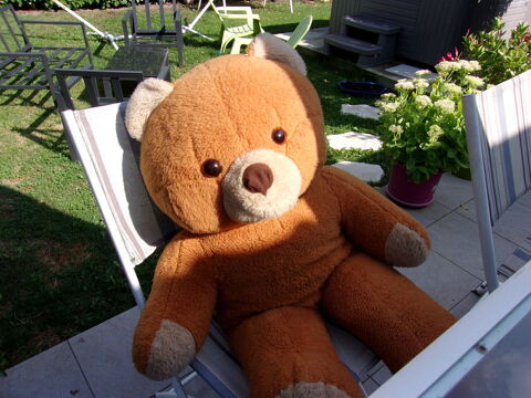Gros Ours peluche marron 12 Villars-les-Dombes (01)