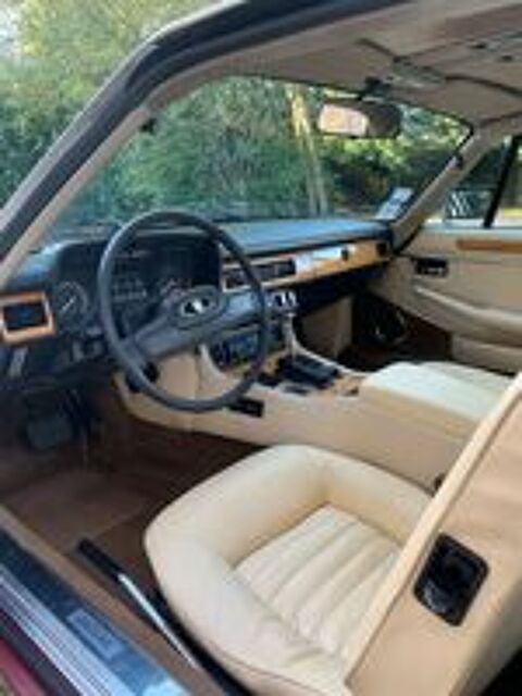   occasion 86000 Poitiers