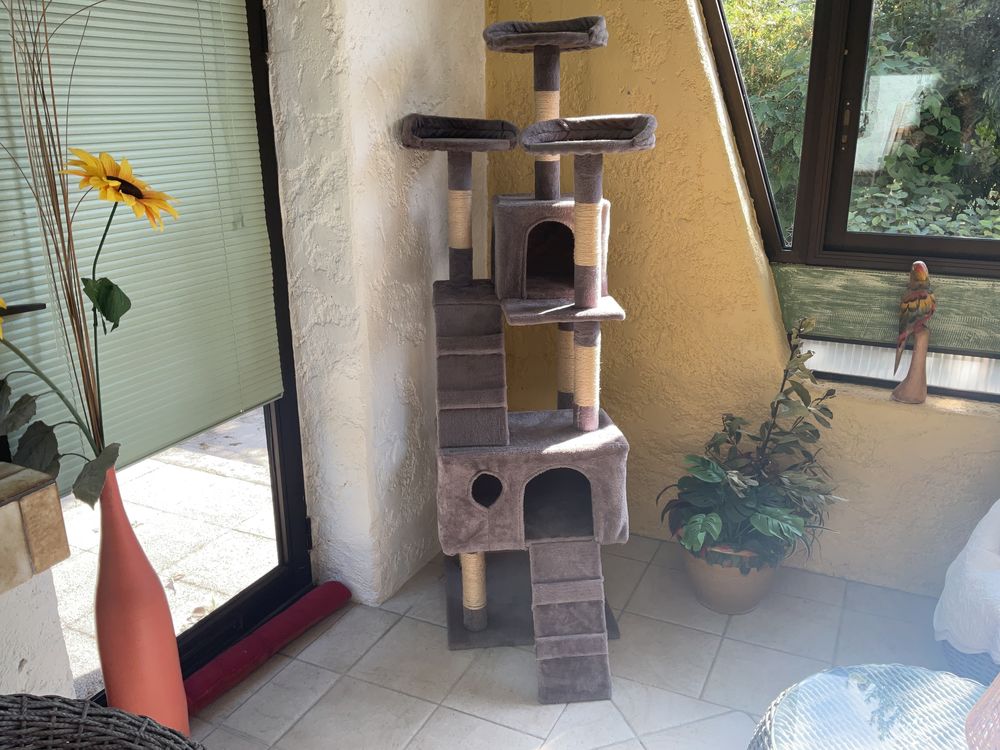 Arbre &agrave; chat Jeux / jouets