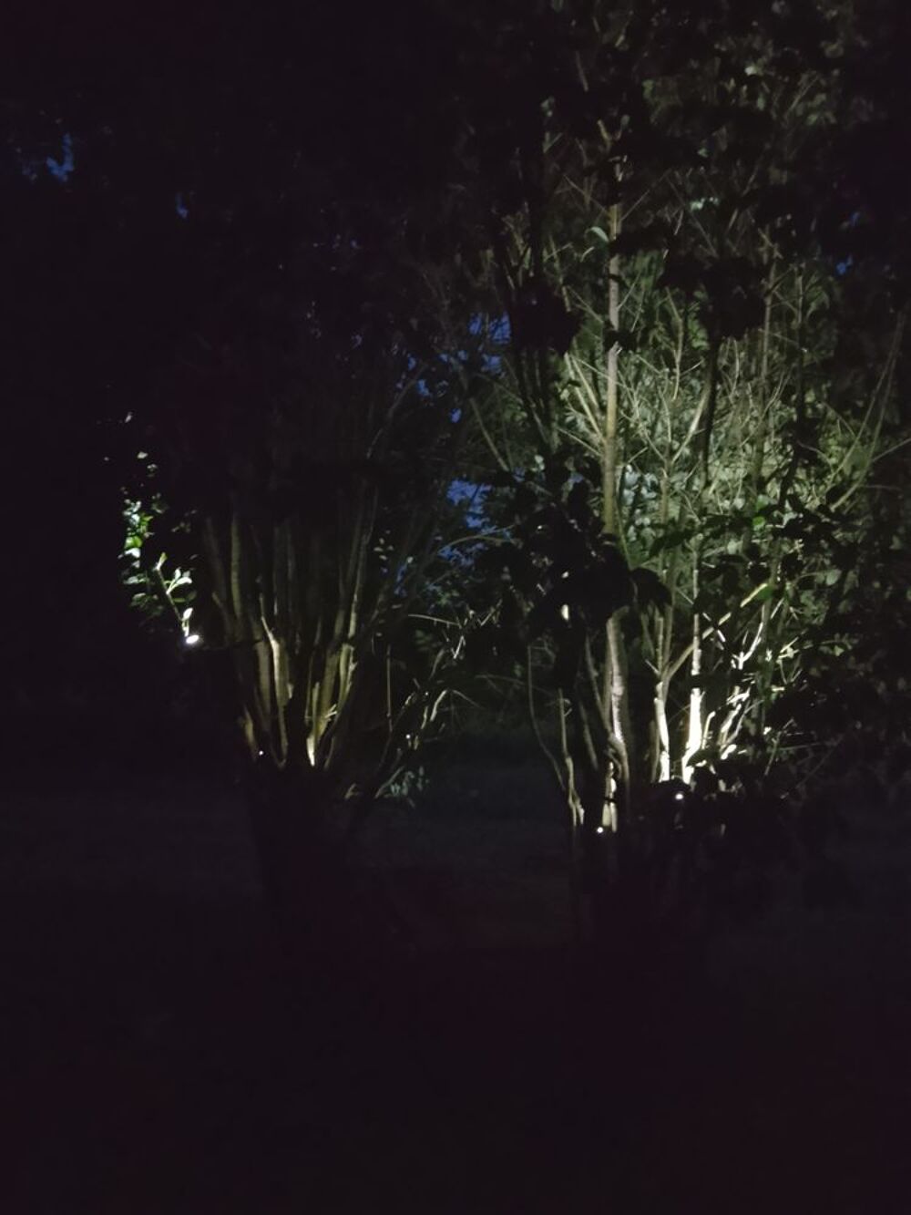 Piquets Solaires 7 Leds 1,6 W lumi&egrave;re blanche Jardin