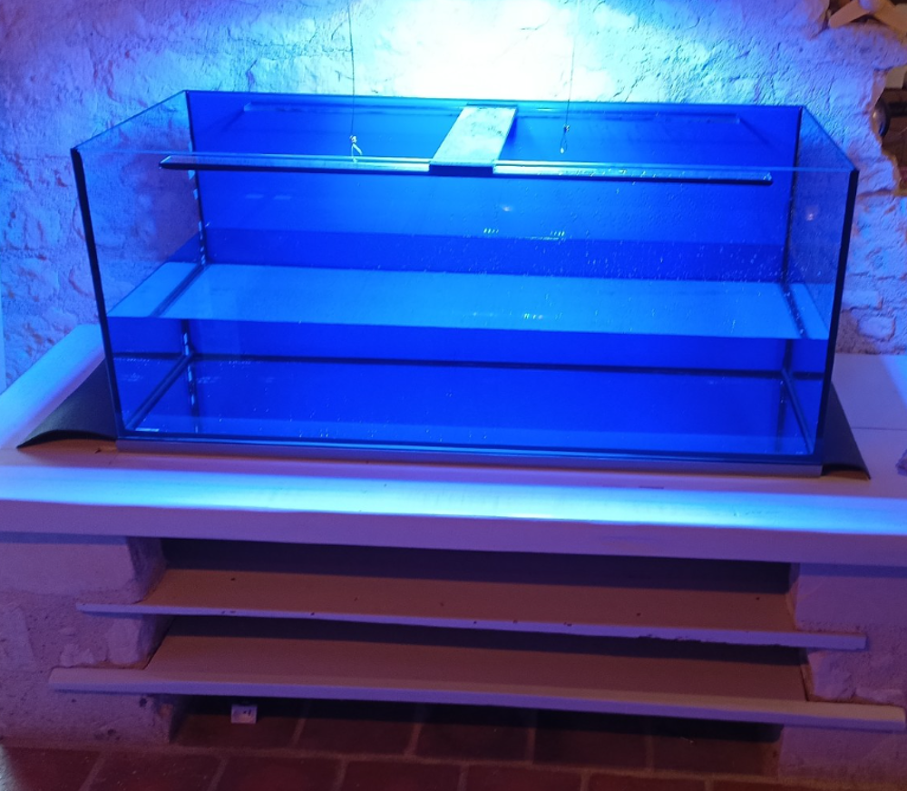   Aquarium 300l 