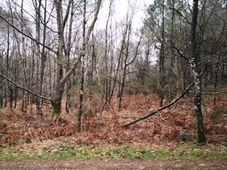 Terrain � vendre 3234 m� P�aule