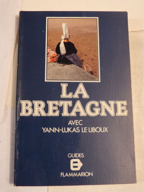 LA BRETAGNE  par  YANN LUKAS LE LIBOUX 5 Brest (29)