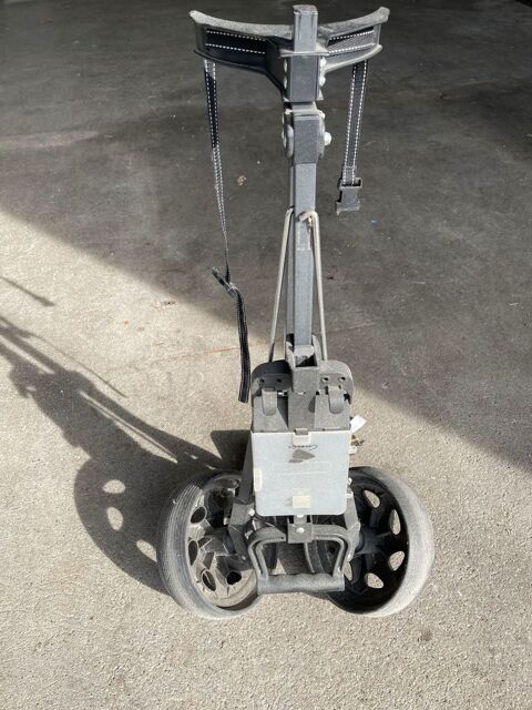 CAUSE DEMENAGEMENT chariot pour transport du sac de cl 20 La C�te-Saint-Andr� (38)