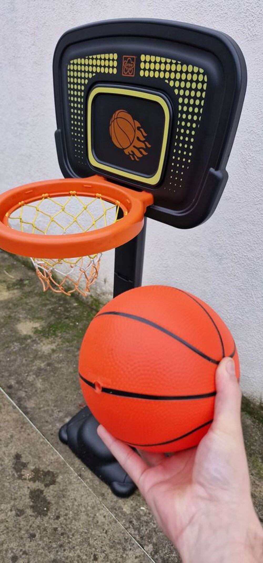 panier de basquet Sports