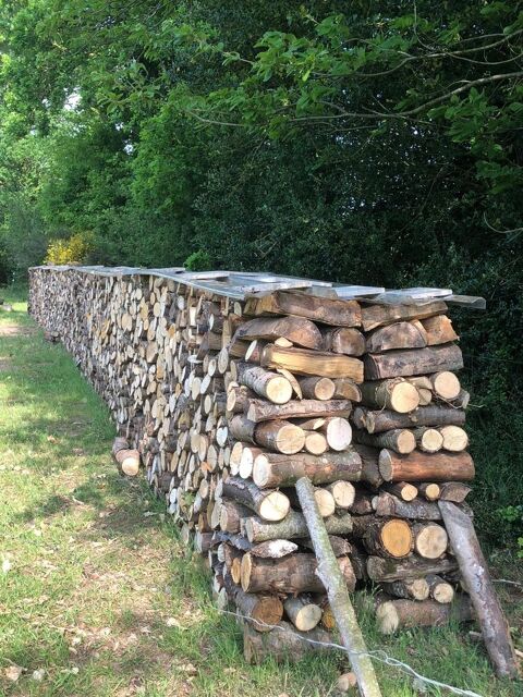 Bois de chauffage Penguily (22)