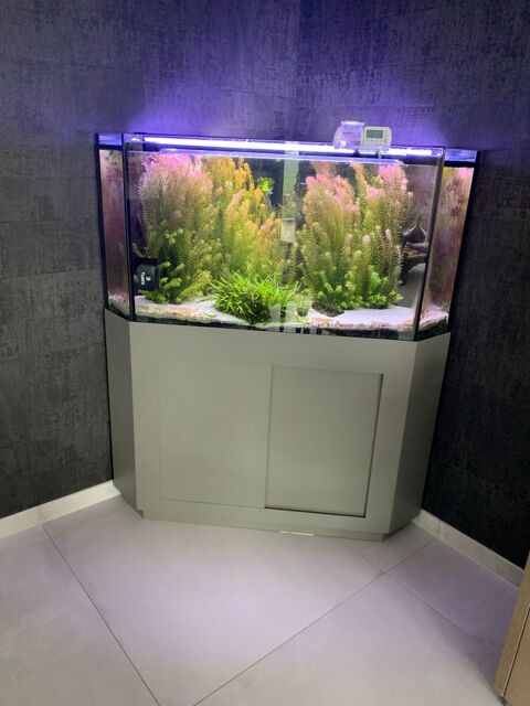AQUARIUM D ANGLE Ercé-près-Liffré (35)