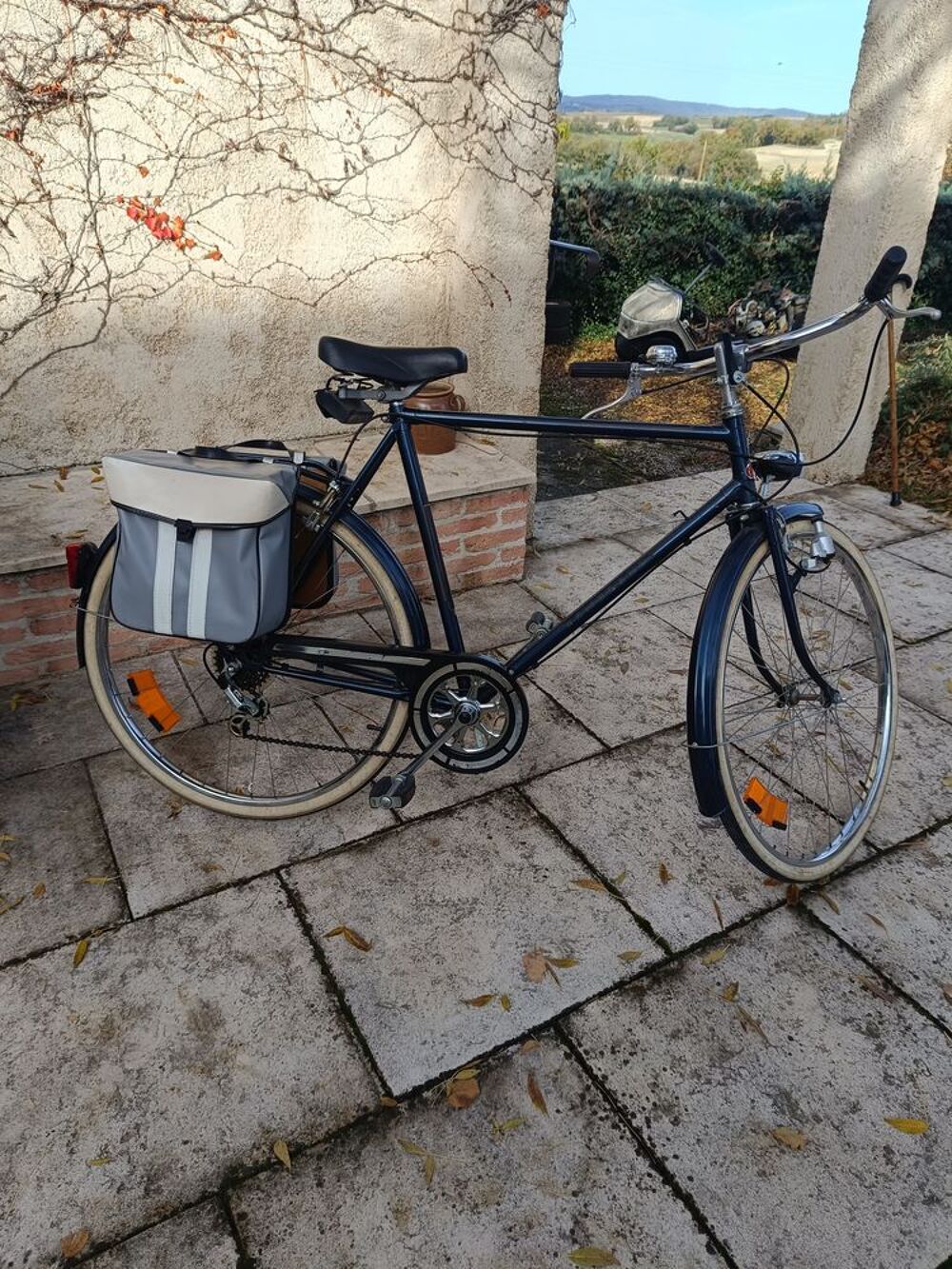 V&eacute;lo adultes de marque Rembrant Vélos