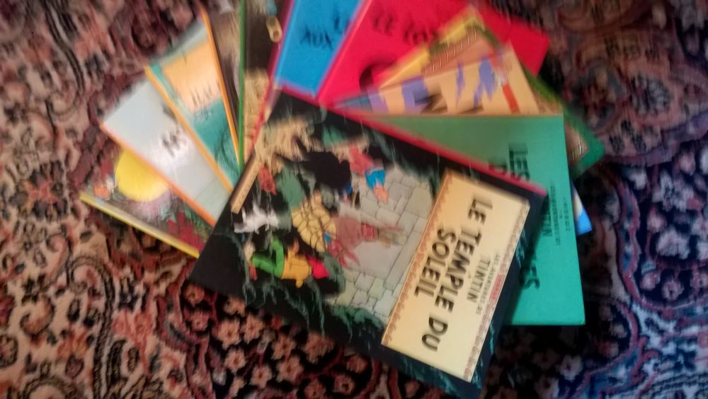 COLLECTION 11 LIVRES TINTIN Livres et BD