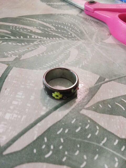 bague en acier inoxydable de diam�tre 15 5 Guyancourt (78)