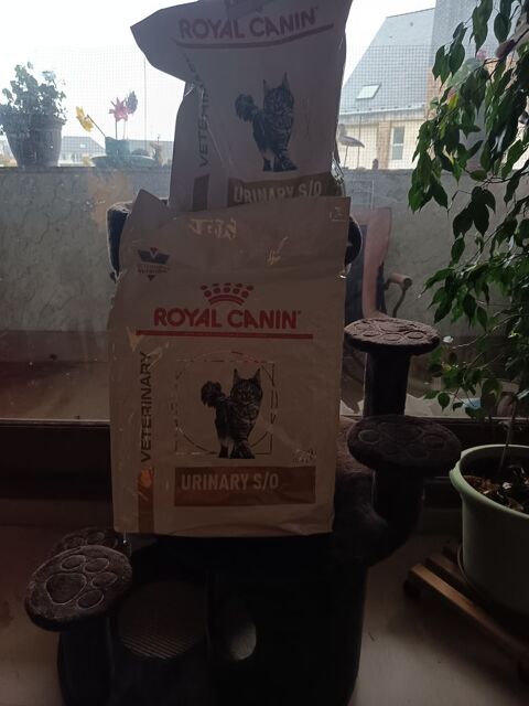Croquettes pour chat "royal canin urinary SO. 50 22700 Perros-guirec