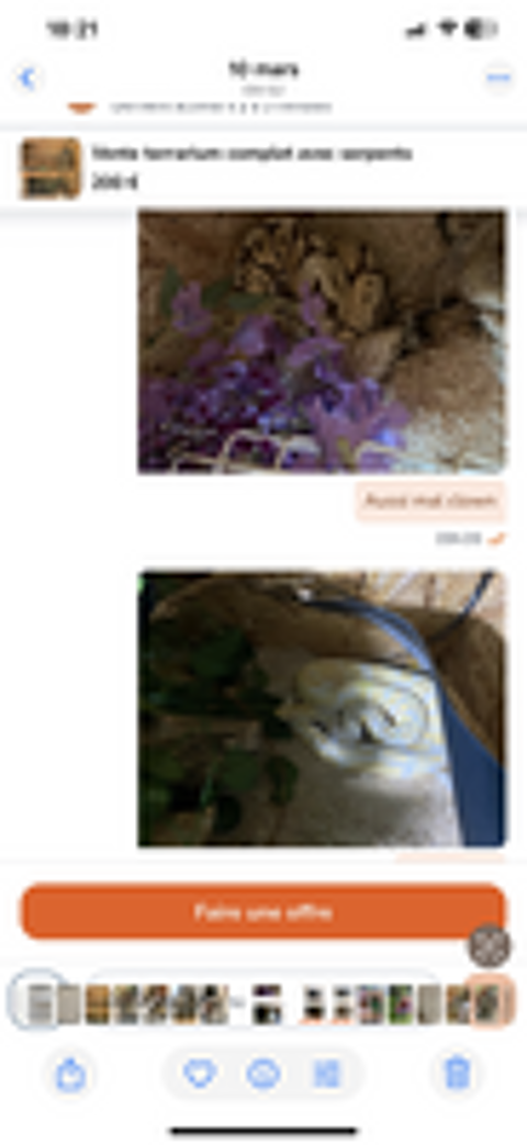   Terrariums  