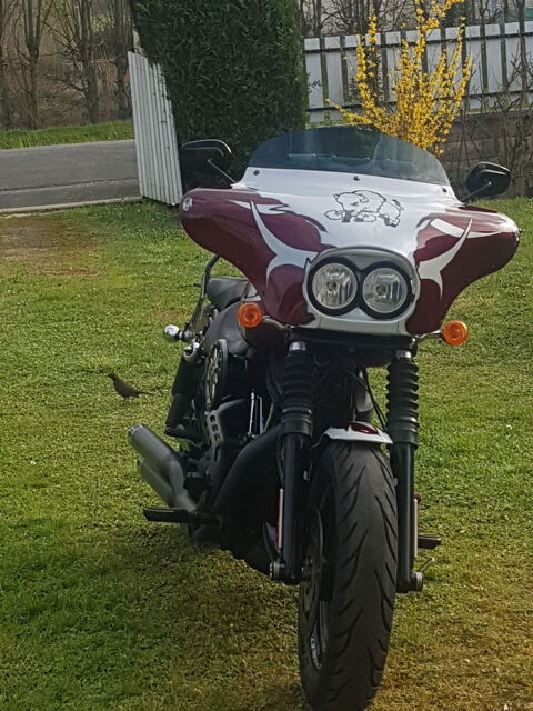 Moto HARLEY-DAVIDSON 2014 occasion Vallauris 06220