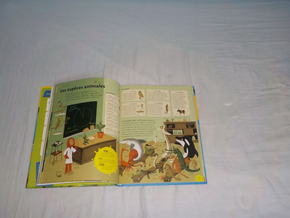 6 / 9 ans , encyclop&eacute;die 9 th&egrave;mes Livres et BD