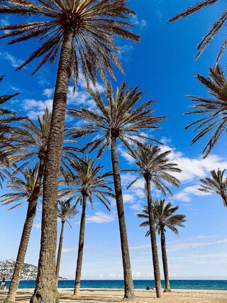 Location  Appartement 