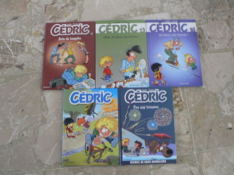 Bandes dessinées 10 Blois (41)