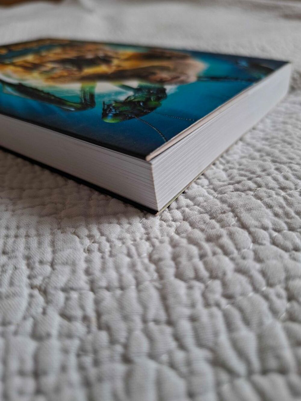 Livre chair de poule le roman du film Livres et BD