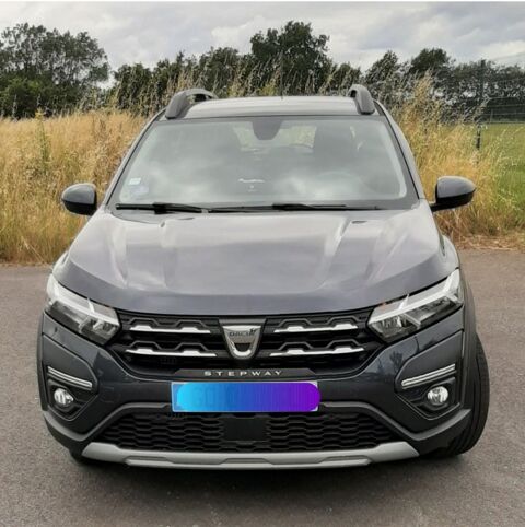 Dacia Sandero ECO-G 100 - 22 Stepway Confort 2021 occasion Nort-sur-Erdre 44390