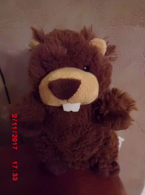 MARMOTTE GIPSY 15 Oignies (62)