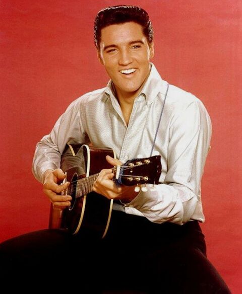 Elvis - photo sur toile  40 Castres (81)