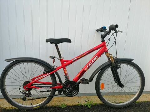 VTT 24 pouces Nakamura 65 Challans (85)