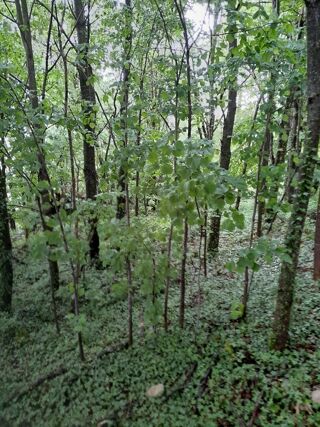  Terrain � vendre 1360 m�