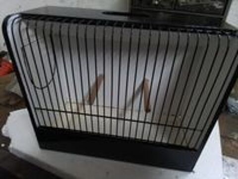   Cage dite de concour  