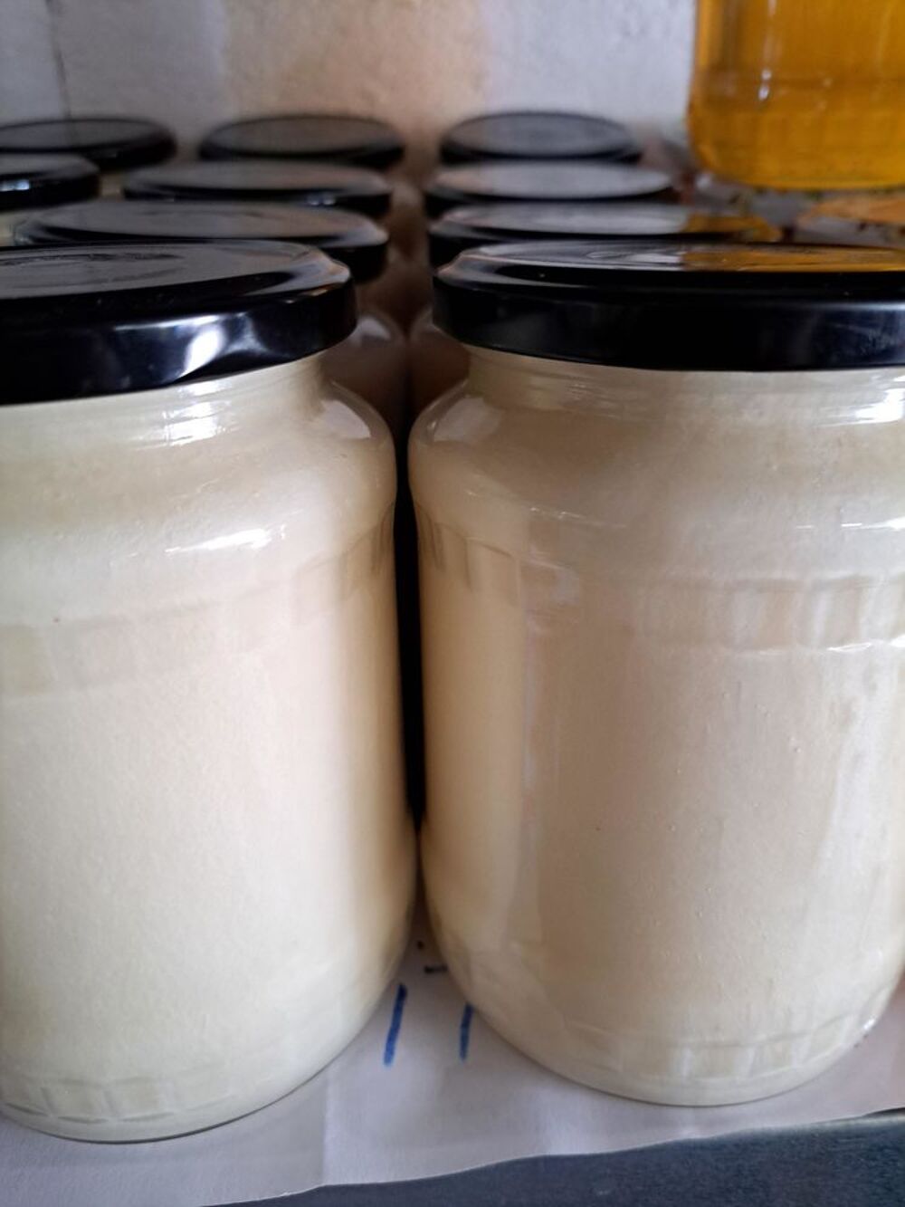 MIEL COLZA POTS 1 KG Jardin