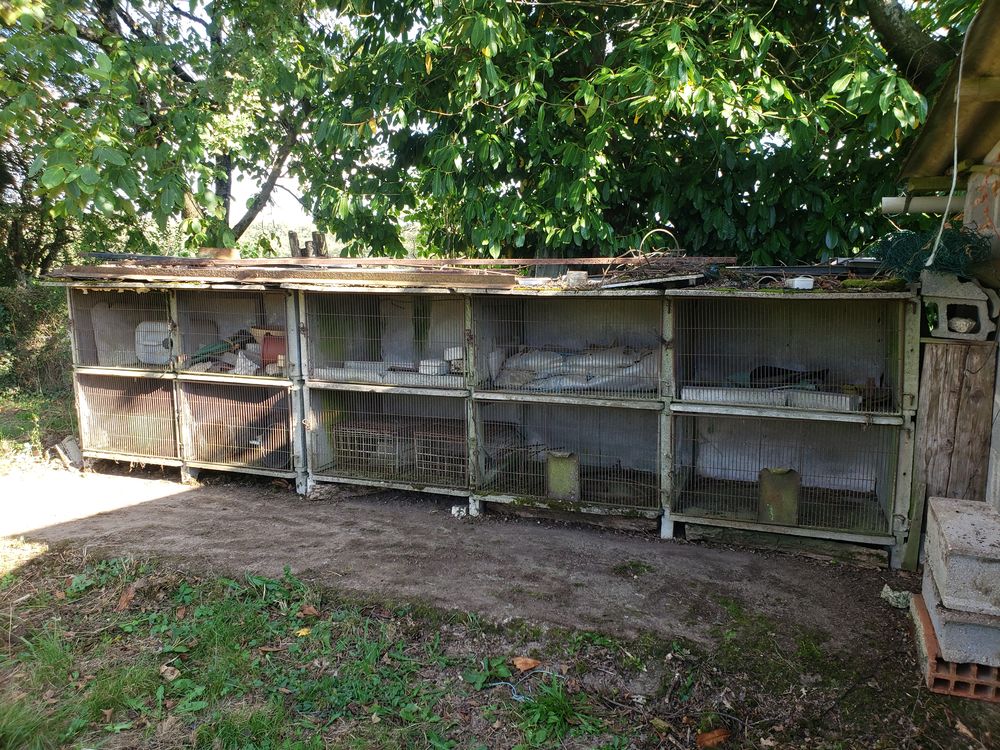 Clapier Lapins Jardin