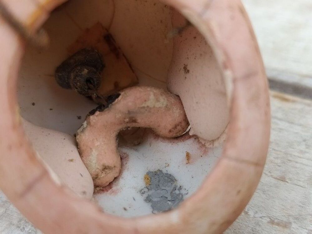 Ancienne Petite Poup&eacute;e Armand Marseille Germany 390 11/OM
