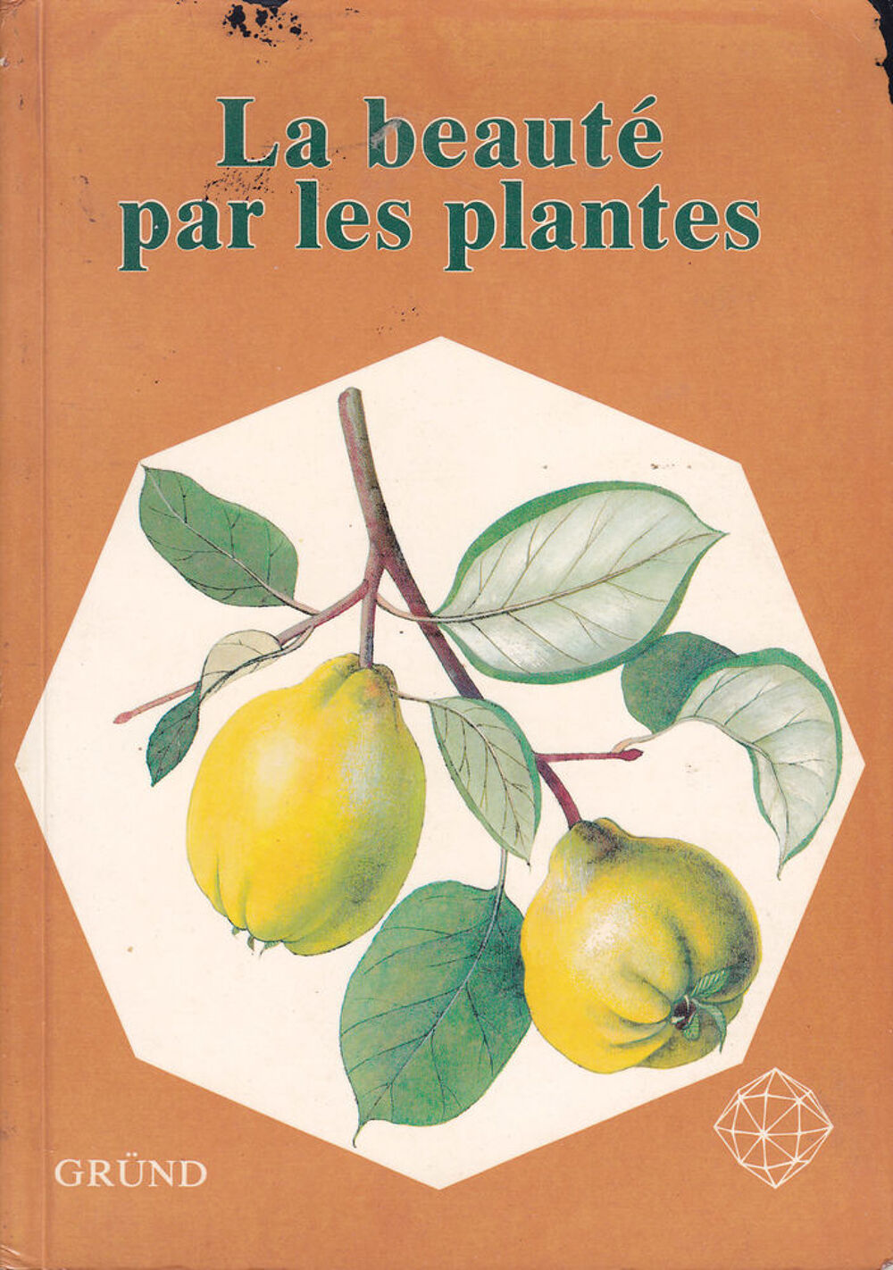 Ref 578 / 3 LIVRES PLANTES / CHAMPIGNONS TRES BON ETAT Jardin
