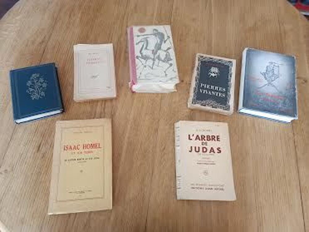 LOT DE 7 LIVRES DU SIECLE DERNIER Livres et BD