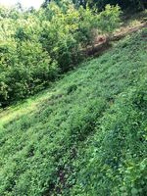   PRÊTE GRATUITEMENT pour animaux de ferme:Terrain-Joinville   
