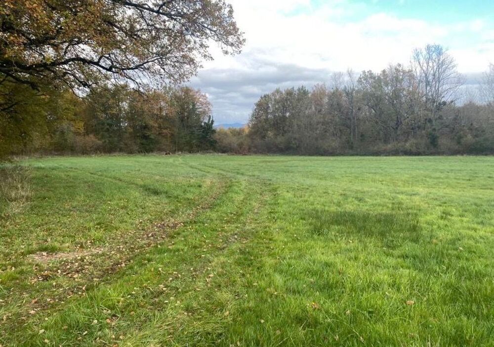 Vente Terrain À saisir ! Terrain constructible avec vaste espace naturel Orléat