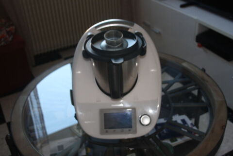 Thermomix TM5 600 Salindres (30)